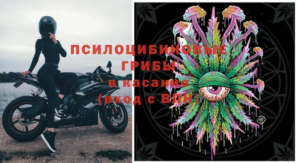 хмурый Алексин