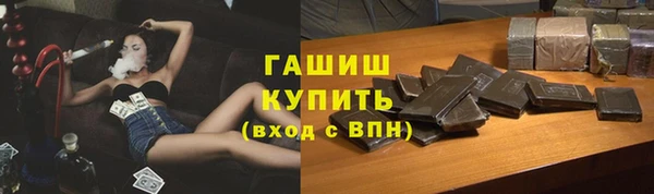 хмурый Алексин