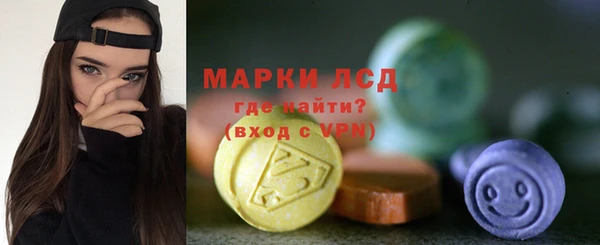 хмурый Алексин