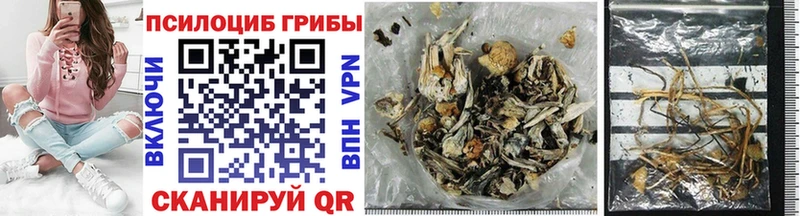 купить наркотик Артёмовск мориарти клад Галлюциногенные грибы GOLDEN TEACHER